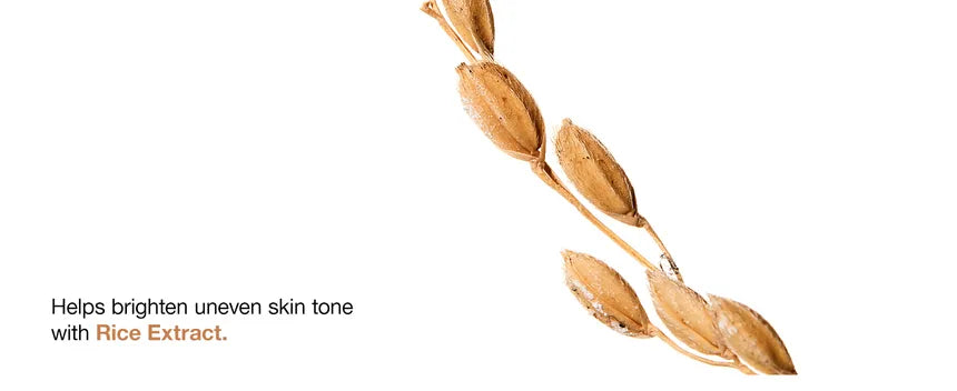 Anua - 7 Rice Ceramide Hydrating Barrier Serum